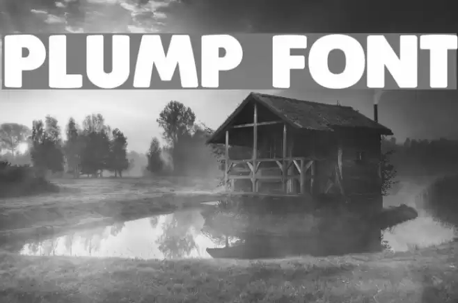 Plump Font examples
