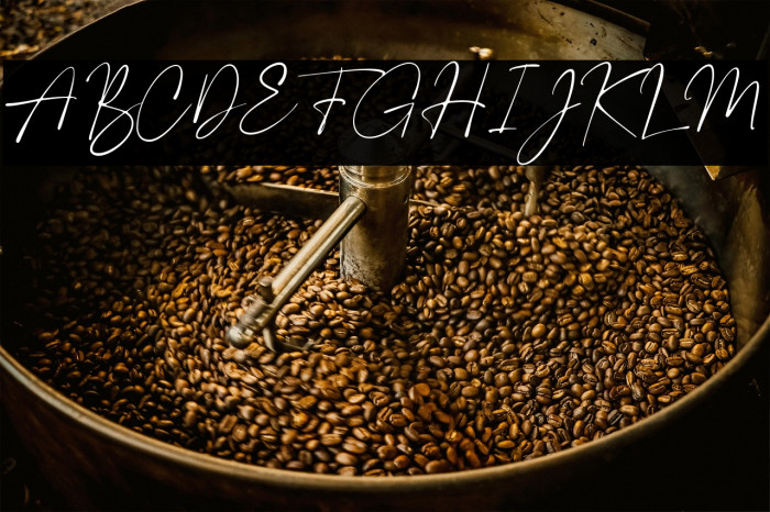 PlumroseSignature-Regular Example 3