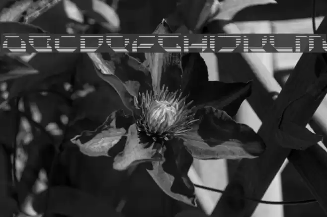 Pluranon Fade Font examples