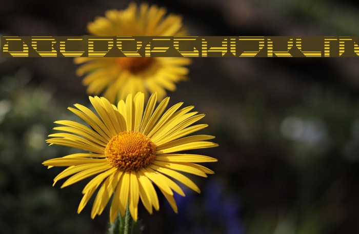 Pluranon Fade Font examples