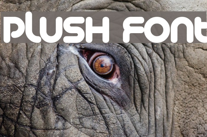 Plush Font examples