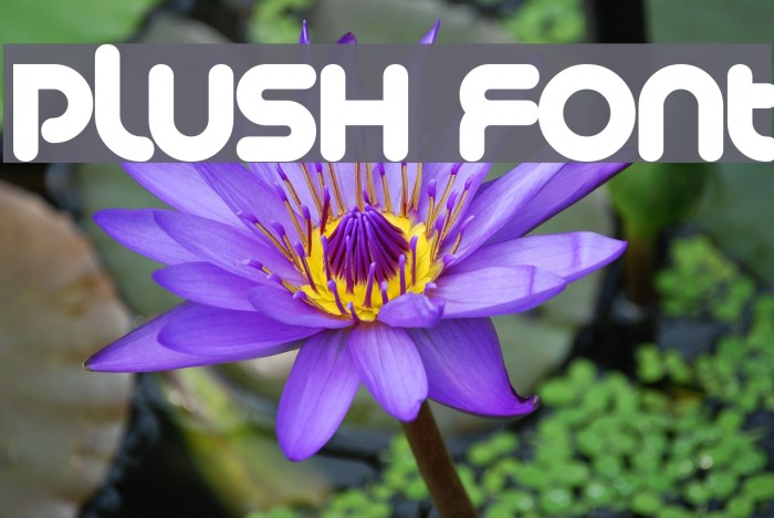 Plush Font examples