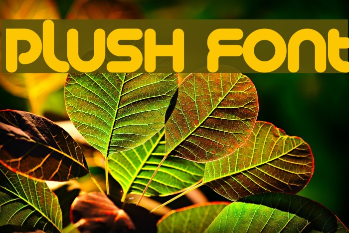 Plush Font examples