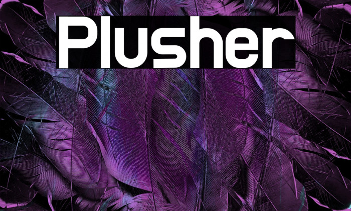 Plusher Example 1