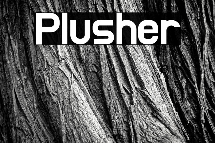 Plusher Example 2
