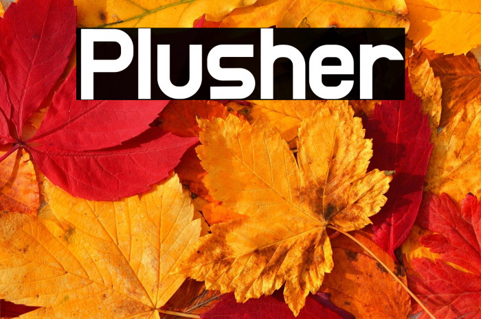 Plusher Example 3
