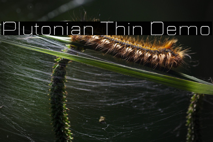 Plutonian Thin Demo Example 2