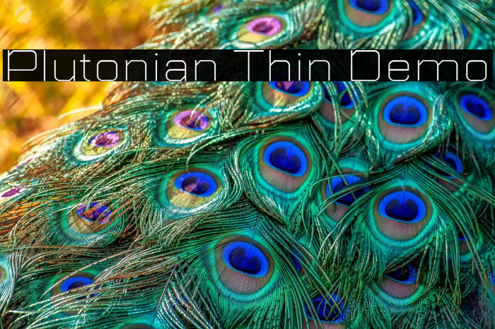 Plutonian Thin Demo Example 3