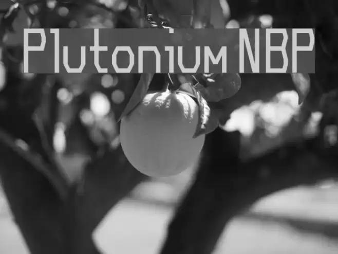 Plutonium NBP Font examples