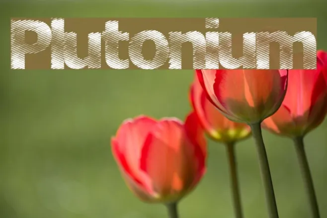 Plutonium Example 2