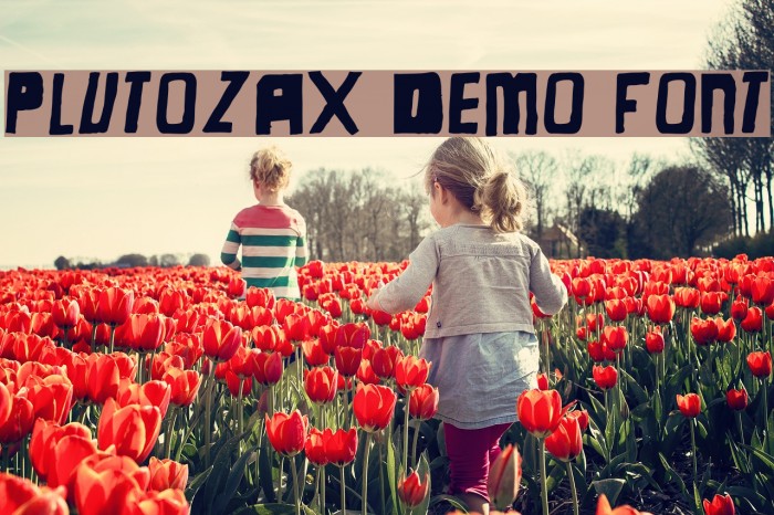 Plutozax Demo Font Example 1