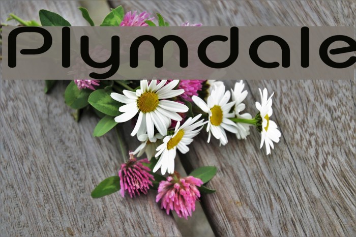 Plymdale Font examples