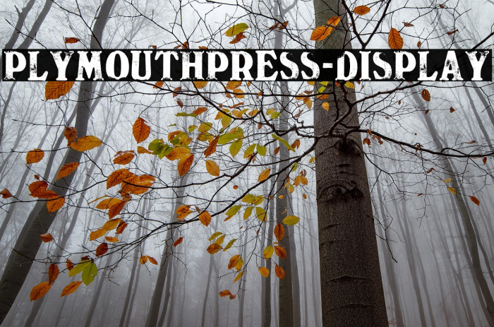 PlymouthPress-Display Example 1