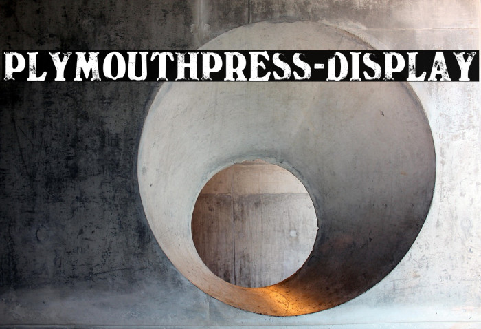 PlymouthPress-Display Example 2