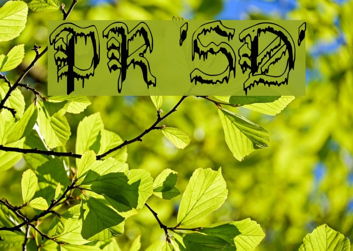 PlymouthRock 'SnowDusted' Font examples