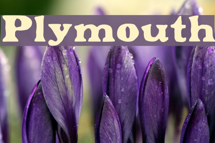 Plymouth Шрифта examples