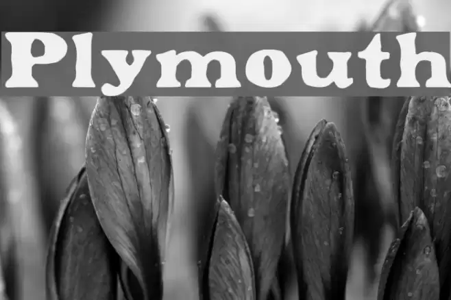 Plymouth フォント examples