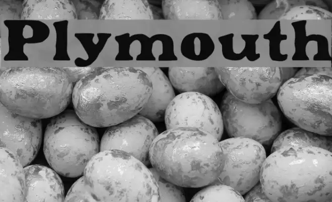 Plymouth フォント examples