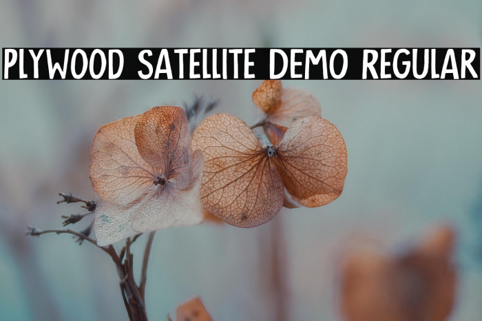 Plywood Satellite DEMO Regular Example 1