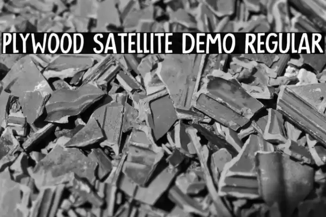 Plywood Satellite DEMO Regular Caratteri examples