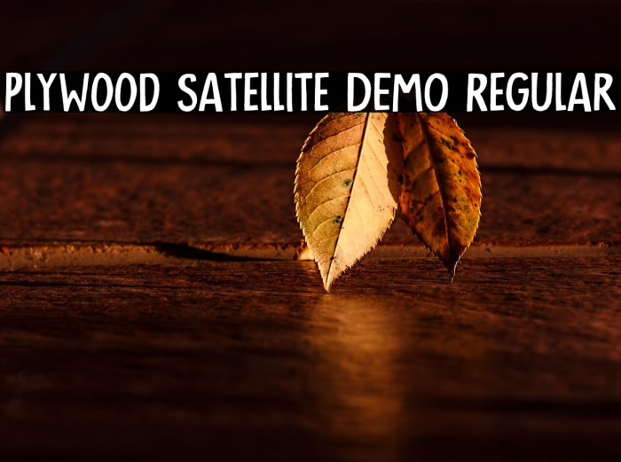 Plywood Satellite DEMO Regular Example 3