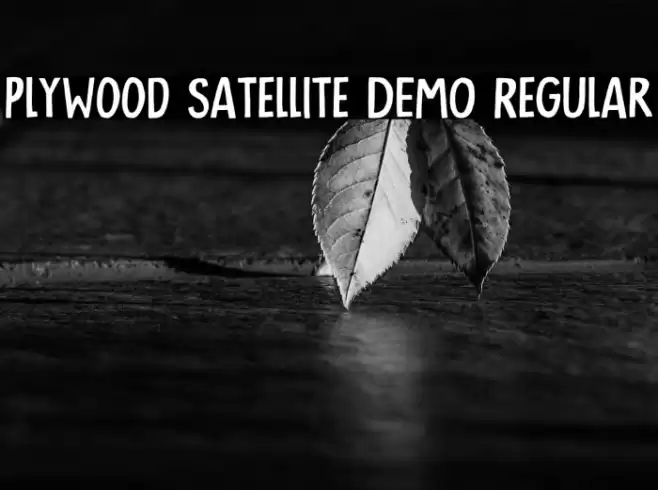 Plywood Satellite DEMO Regular Caratteri examples
