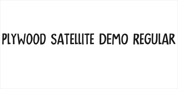 Plywood Satellite DEMO Regular Logo