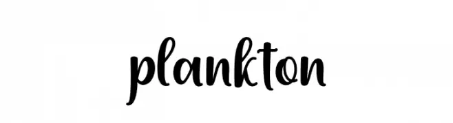 plankton  Fuentes Gratis Descargar