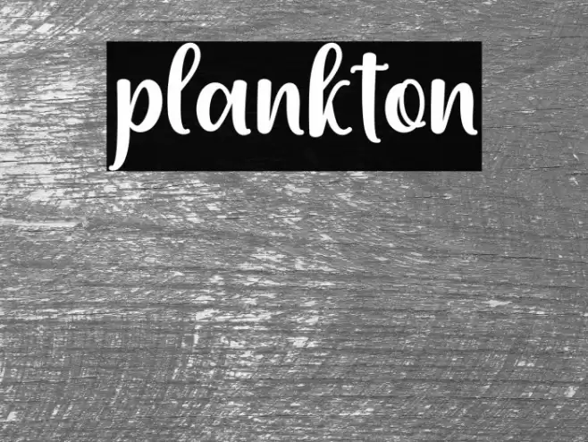 plankton Font examples