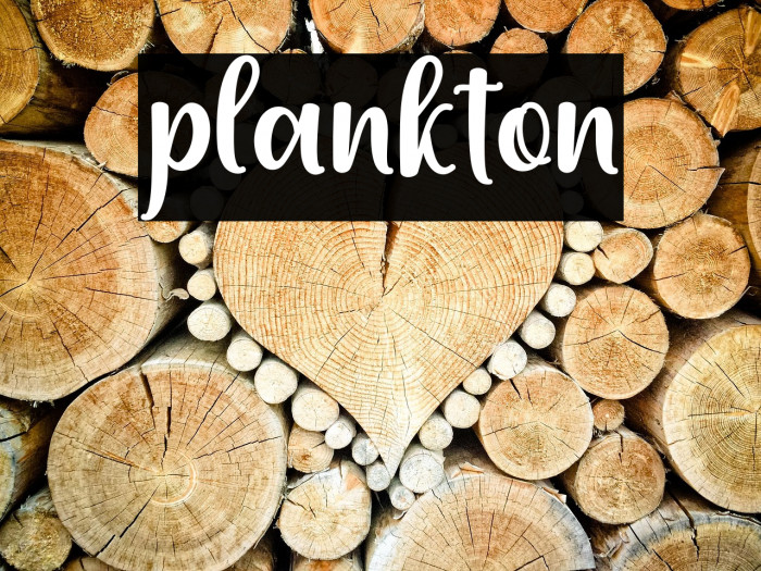 plankton Example 3