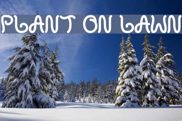 plant on lawn Example 1