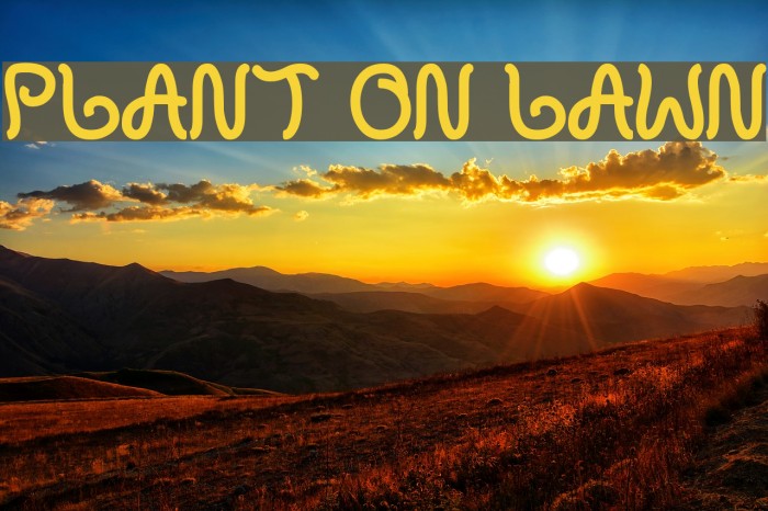 plant on lawn Example 2