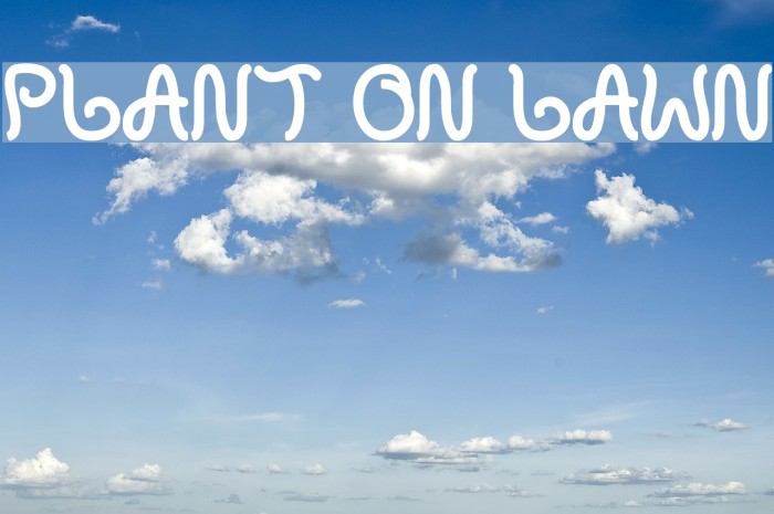 plant on lawn Example 3