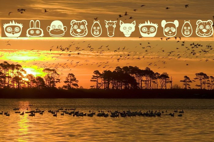 plastic pets Font examples