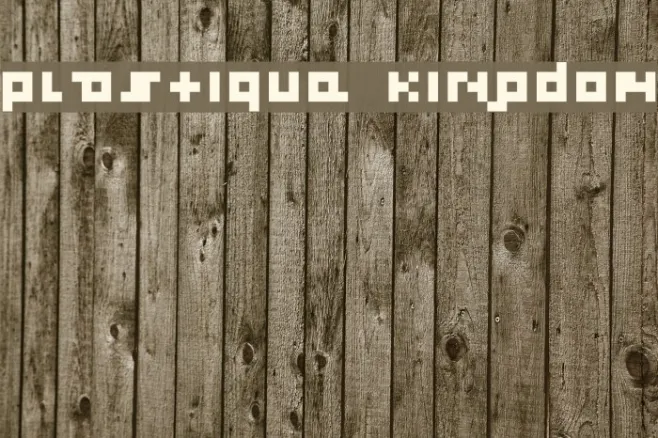 plastique kingdom Example 2