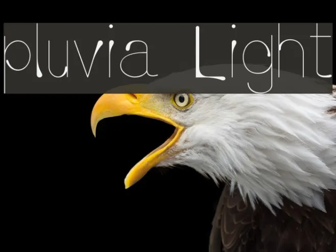 pluvia Light Example 2