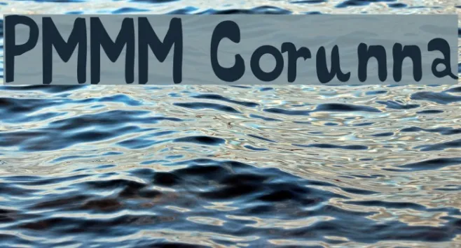 PMMM Corunna Example 2