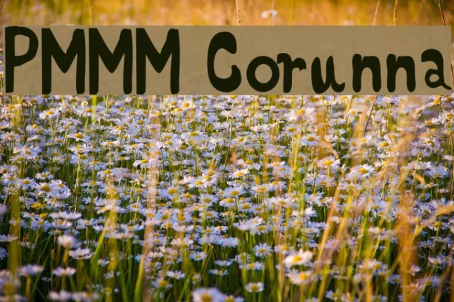 PMMM Corunna Example 3