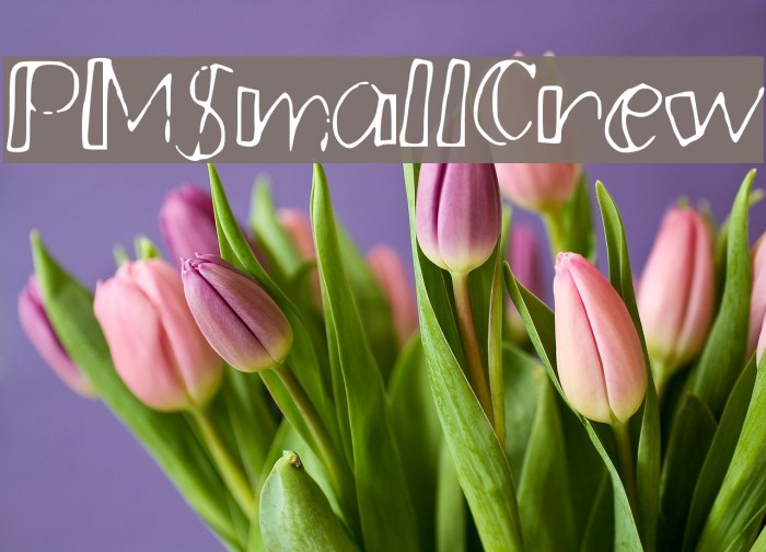 PMSmallCrew Example 1