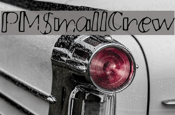 PMSmallCrew Example 3