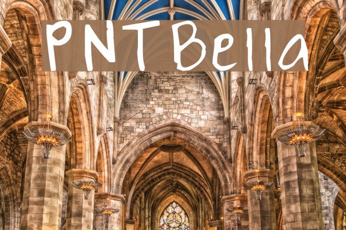 PNTBella Font examples