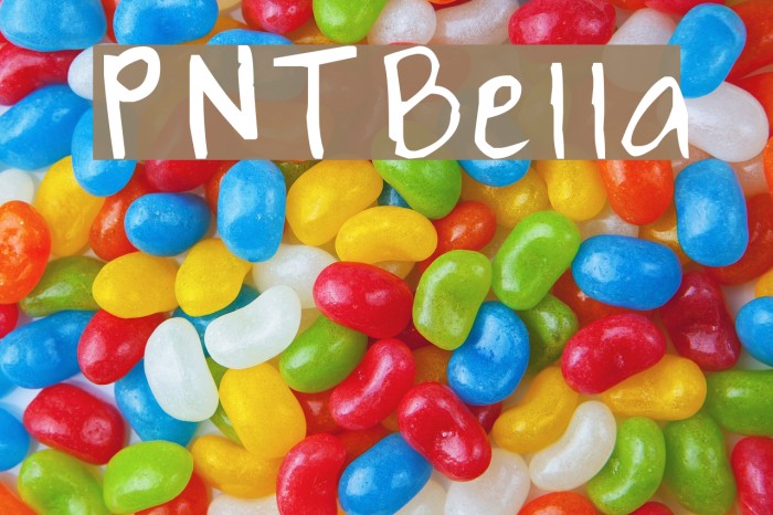 PNTBella Font examples