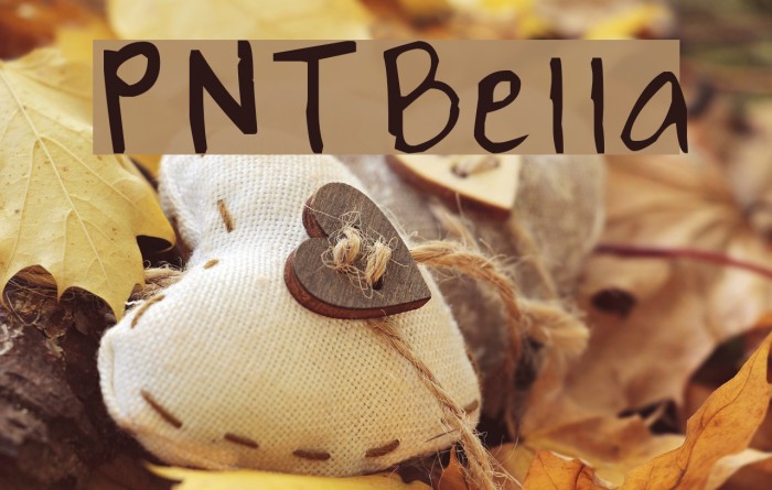 PNTBella Font examples