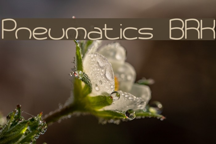 Pneumatics BRK Шрифта examples