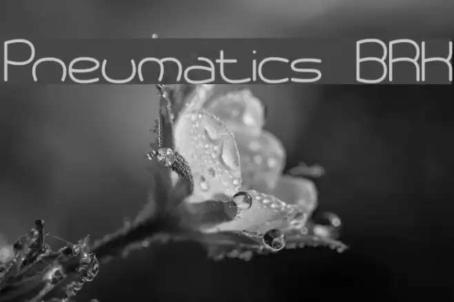Pneumatics BRK Caratteri examples