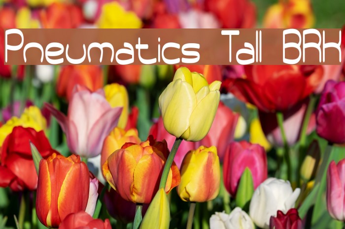 Pneumatics Tall BRK Caratteri examples