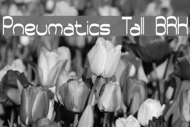 Pneumatics Tall BRK Caratteri examples