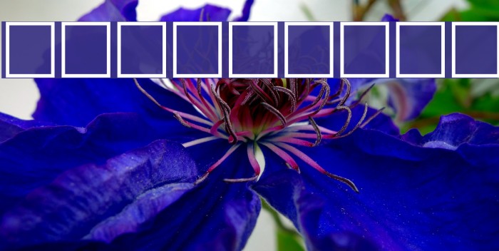 Pni2na Bold Example 3