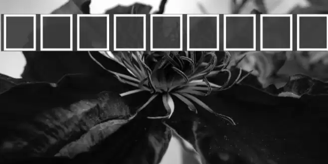 Pni2na Bold Font examples