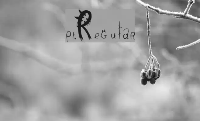 pnÏRegular Font examples